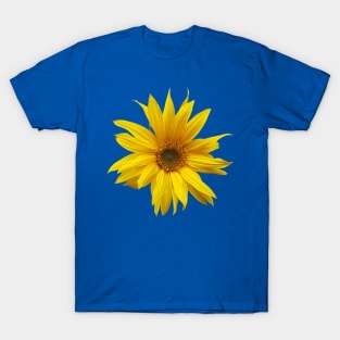 Sunflower - fall flower photograph T-Shirt